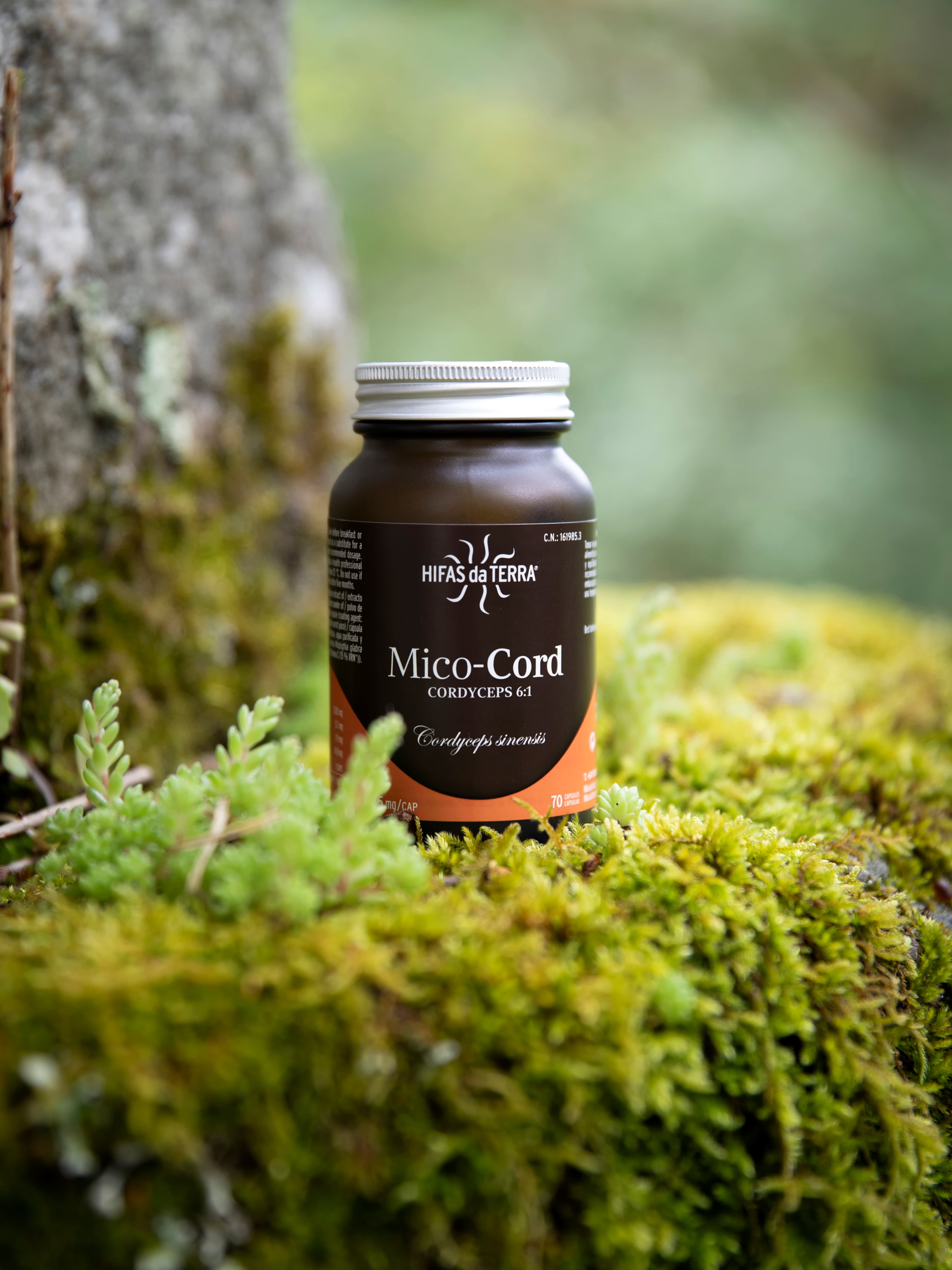 Hifas da Terra Mico-Cord Cordyceps Extract Capsules 70