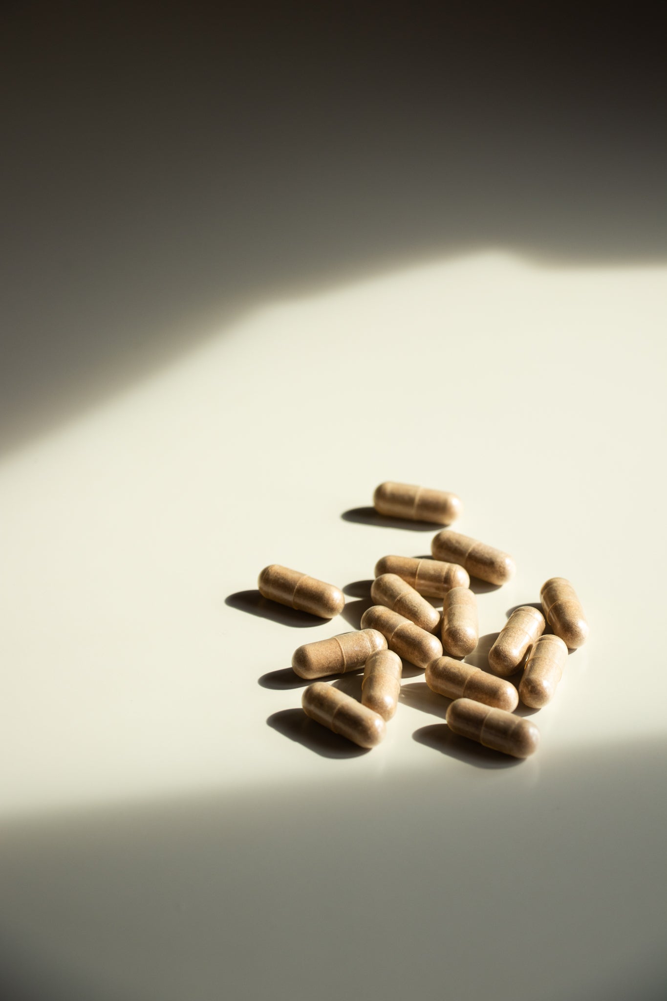 Hifas da Terra Mico-Rei Reishi Extract Capsules 70