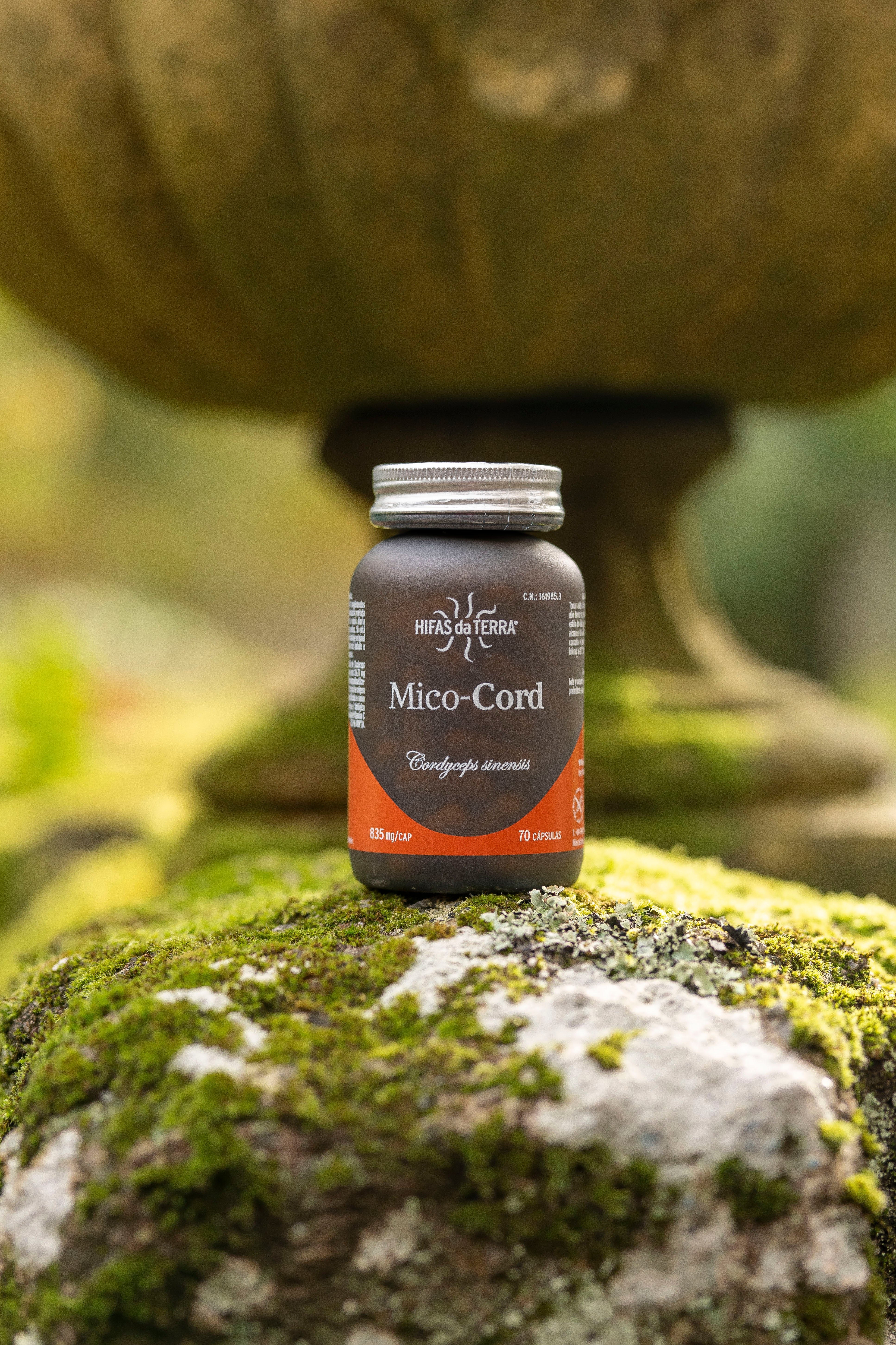 Hifas da Terra Mico-Cord Cordyceps Extract Capsules 70