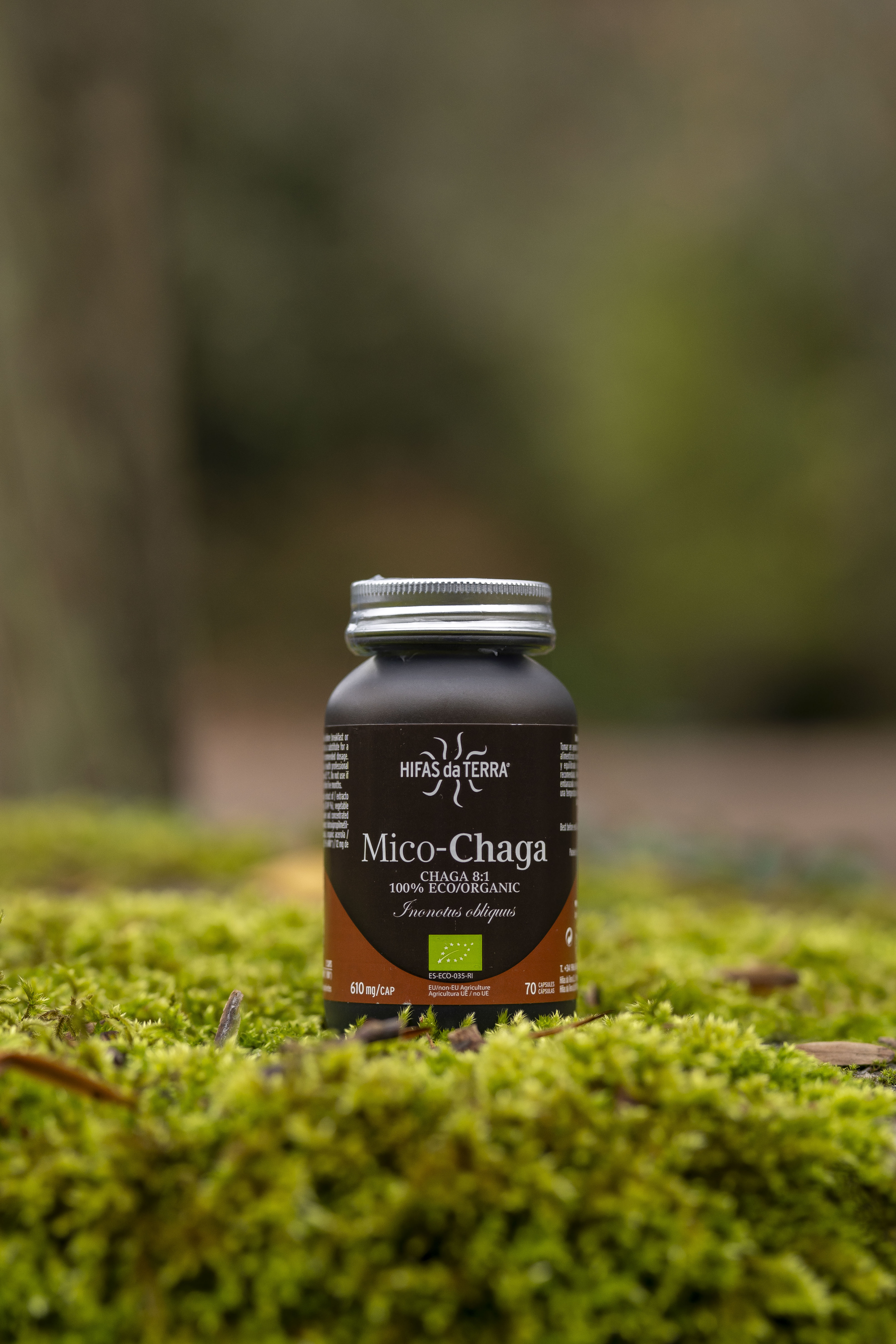 Hifas da Terra Mico-Chaga Extract Capsules 70