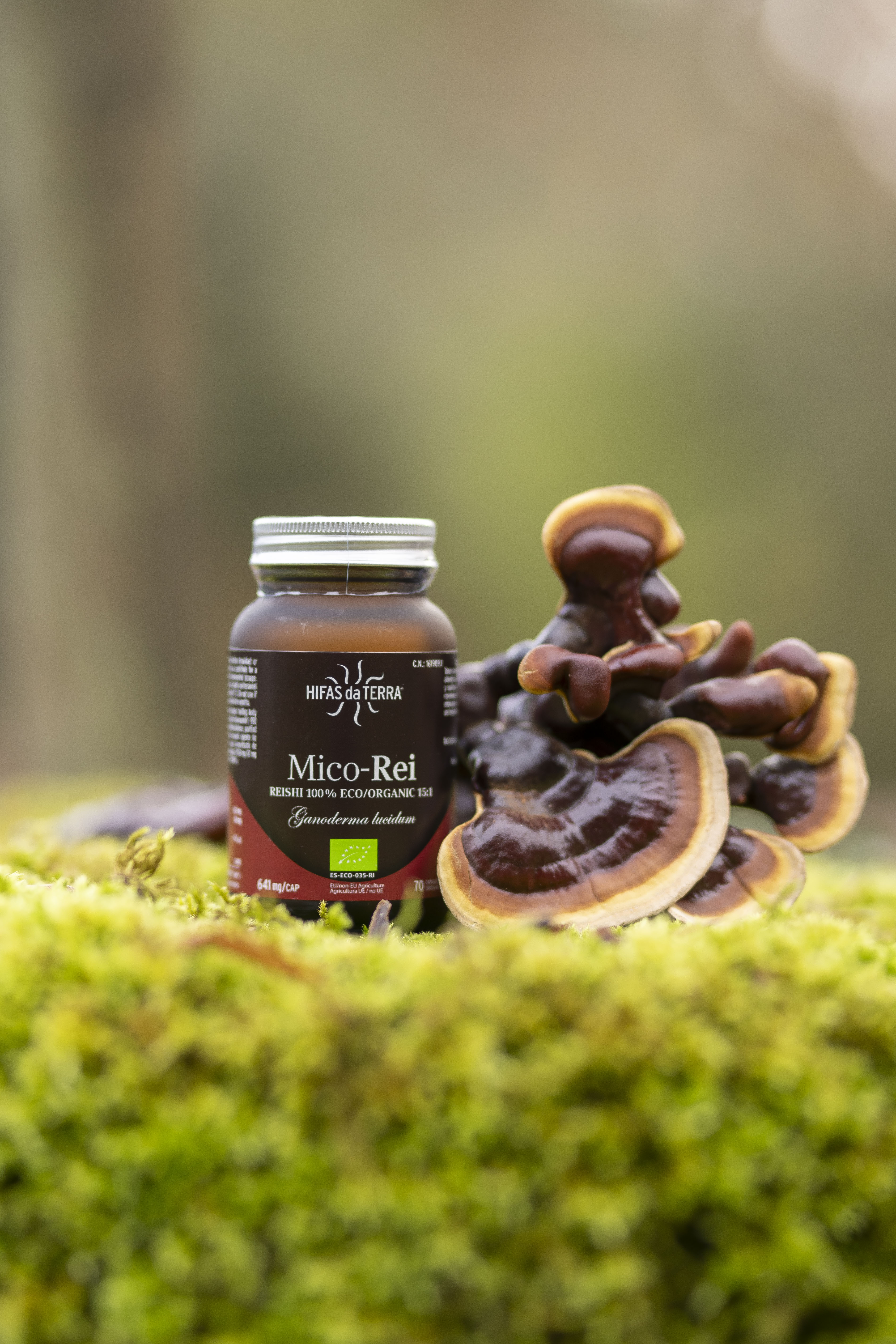 Hifas da Terra Mico-Rei Reishi Extract Capsules 70