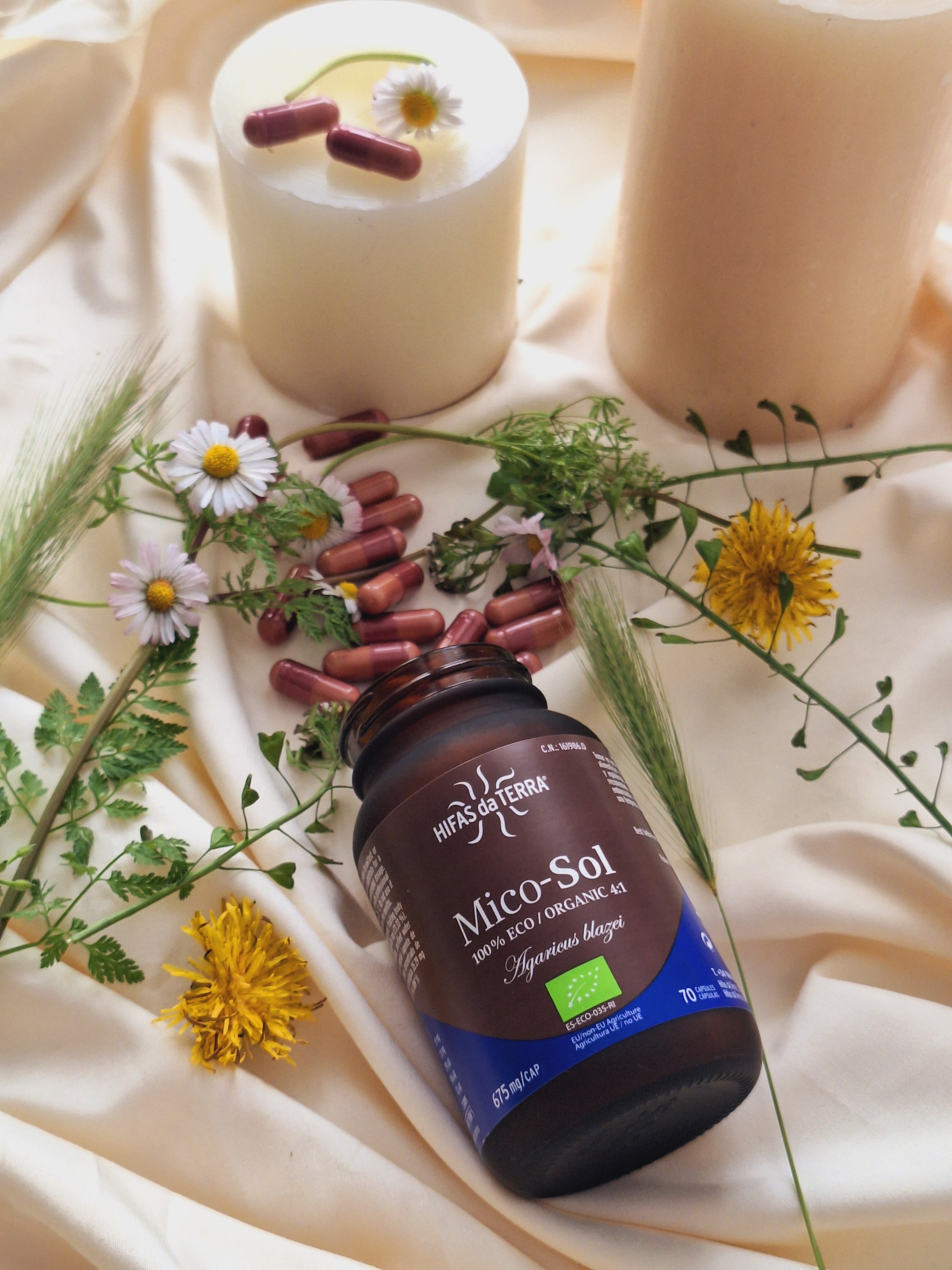 Hifas da Terra Mico-Sol Sun Mushroom Extract Capsules 70