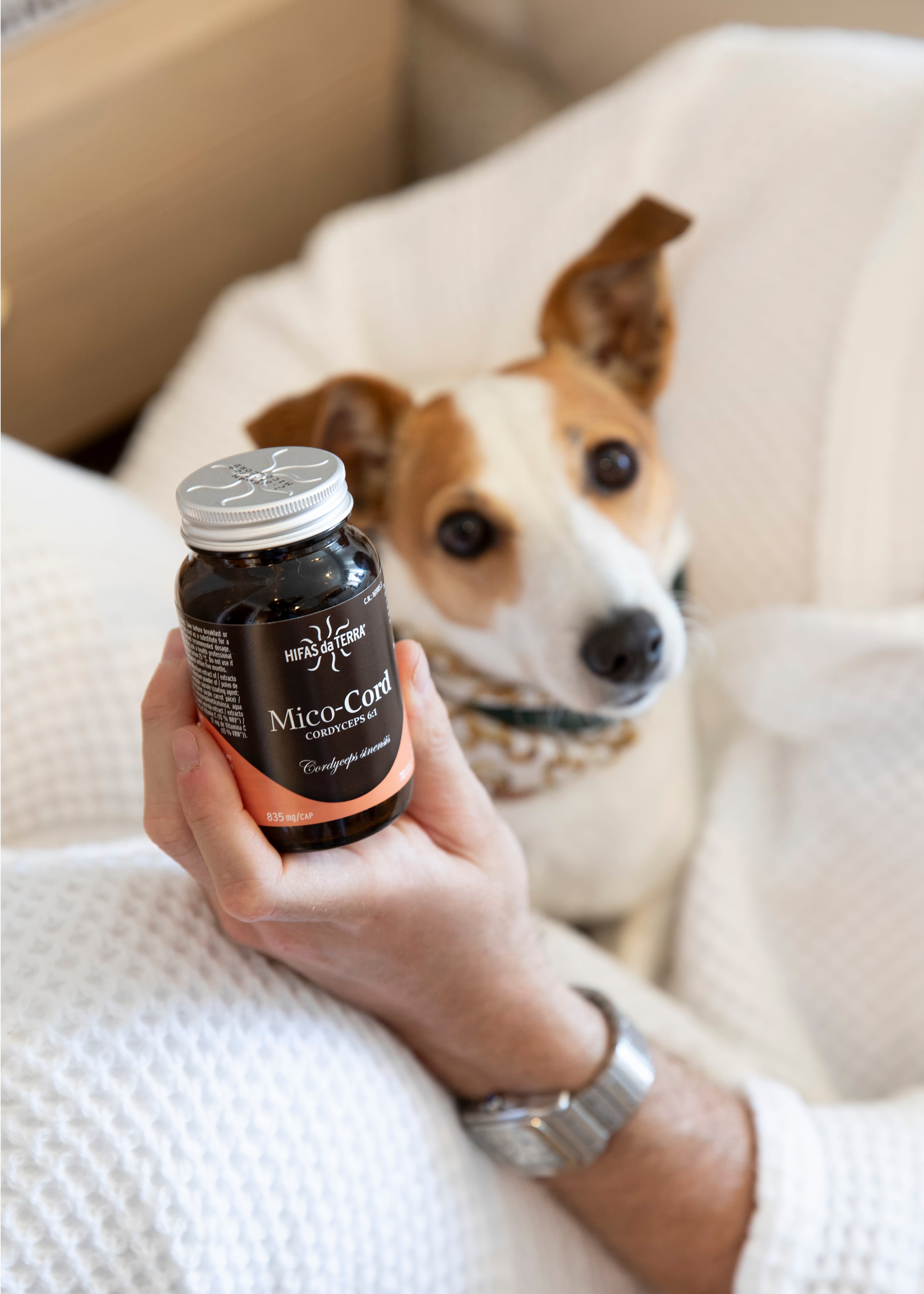 Hifas da Terra Mico-Cord Cordyceps Extract Capsules 70