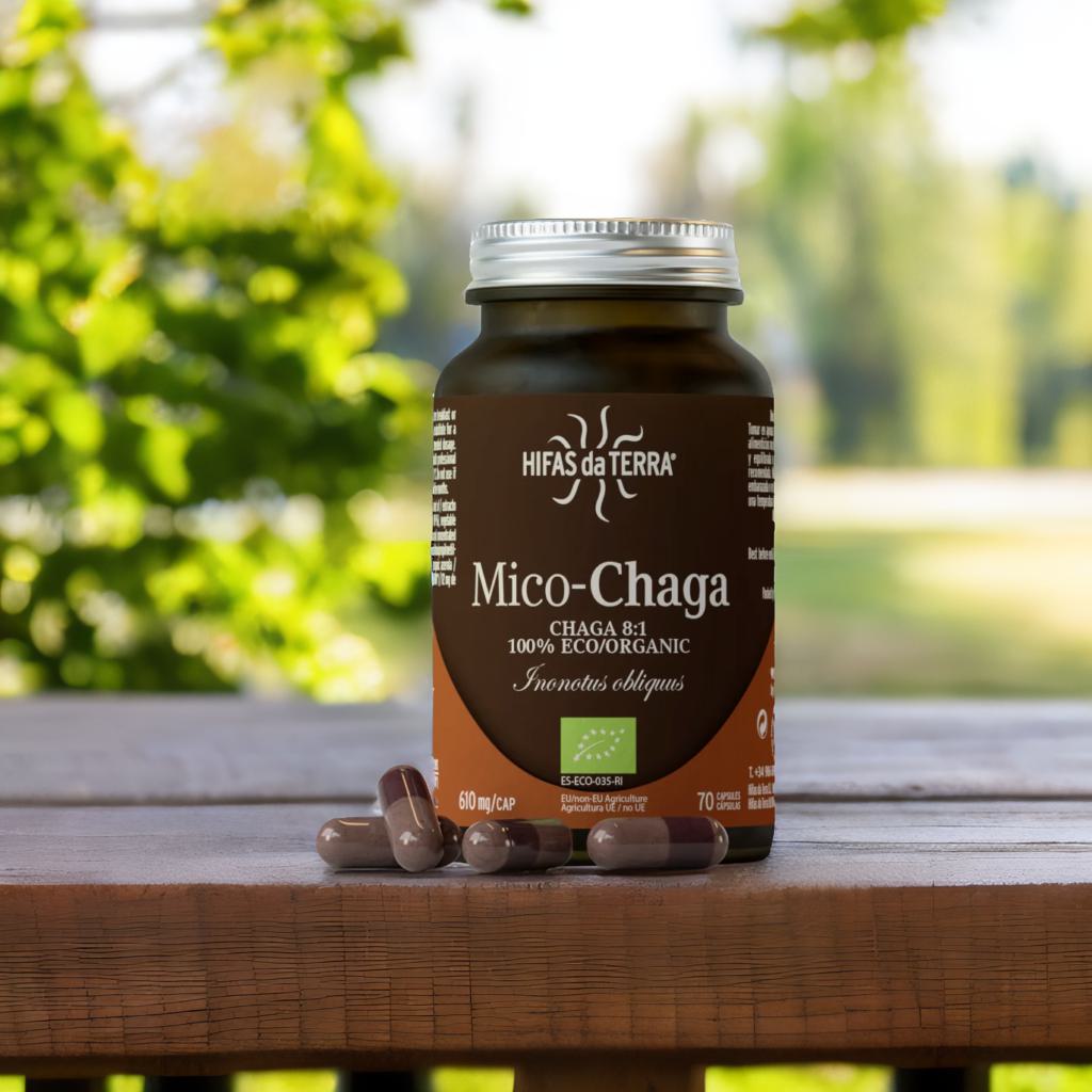 Hifas da Terra Mico-Chaga Extract Capsules 70
