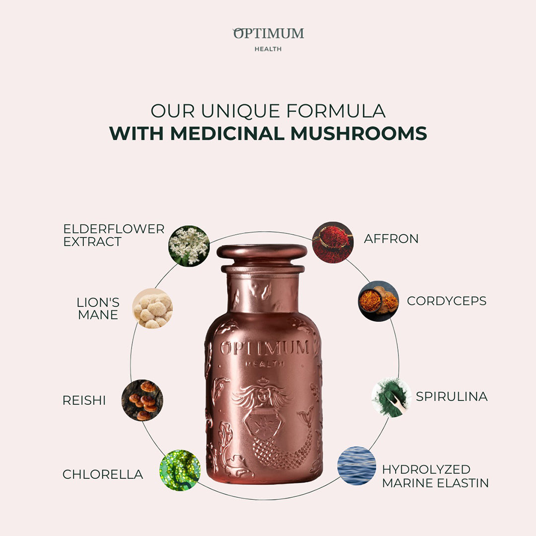Hifas da Terra Optimum Welcome Pack