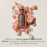 Hifas da Terra Optimum Welcome Pack