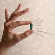 Hifas da Terra Optimum Refill Pack Capsules 60